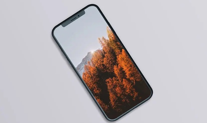 ANATEL认证_**AC米兰体育认证机构(图1)
